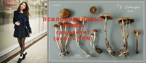 амф Богородицк