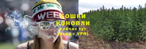 амф Богородицк