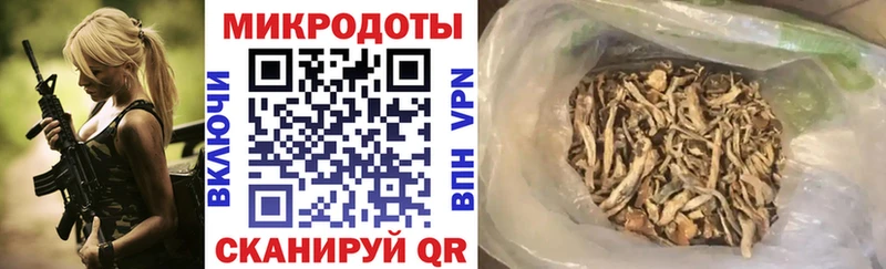 где можно купить   Томилино  Галлюциногенные грибы ЛСД 